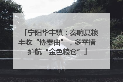 宁阳华丰镇：奏响夏粮丰收“协奏曲”，多举措护航“金色粮仓”