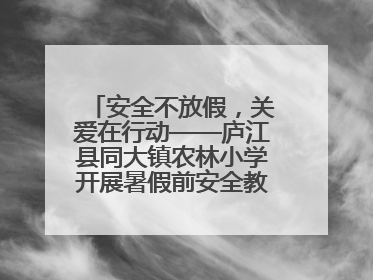 安全不放假，关爱在行动——庐江县同大镇农林小学开展暑假前安全教育大家访
