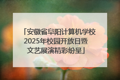 安徽省阜阳计算机学校2025年校园开放日暨文艺展演精彩纷呈