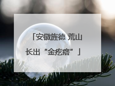 安徽旌德 荒山长出“金疙瘩”