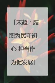 宋超：履职为民守初心 担当作为促发展