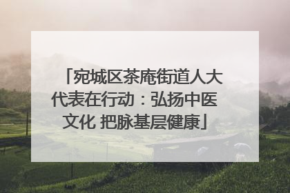 宛城区茶庵街道人大代表在行动：弘扬中医文化 把脉基层健康