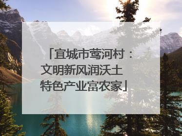 宜城市莺河村：文明新风润沃土 特色产业富农家
