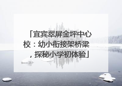宜宾翠屏金坪中心校：幼小衔接架桥梁，探秘小学初体验