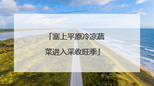 塞上平原冷凉蔬菜进入采收旺季