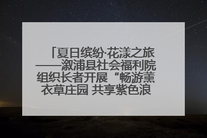 夏日缤纷·花漾之旅——溆浦县社会福利院组织长者开展“畅游薰衣草庄园 共享紫色浪漫”户外活动