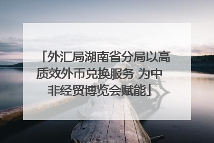 外汇局湖南省分局以高质效外币兑换服务 为中非经贸博览会赋能