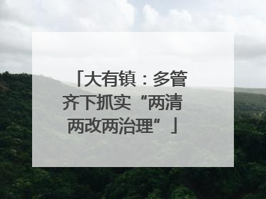 大有镇：多管齐下抓实“两清两改两治理”
