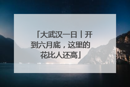 大武汉一日︱开到六月底，这里的花比人还高