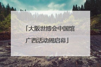 大阪世博会中国馆广西活动周启幕