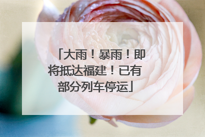 大雨！暴雨！即将抵达福建！已有部分列车停运