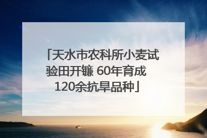 天水市农科所小麦试验田开镰 60年育成120余抗旱品种
