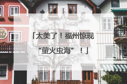 太美了！福州惊现“萤火虫海”！