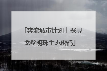 奔流城市计划丨探寻戈壁明珠生态密码