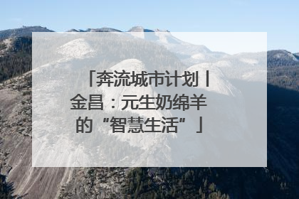 奔流城市计划丨金昌：元生奶绵羊的“智慧生活”