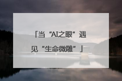 当“AI之眼”遇见“生命微雕”