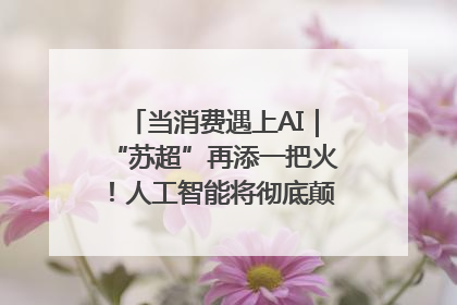 当消费遇上AI｜“苏超”再添一把火！人工智能将彻底颠覆绿茵场？