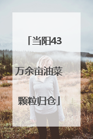 当阳43万余亩油菜颗粒归仓