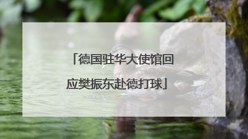 德国驻华大使馆回应樊振东赴德打球