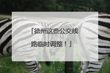 德州这些公交线路临时调整！