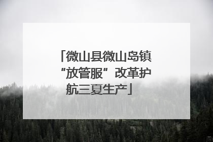 微山县微山岛镇“放管服”改革护航三夏生产