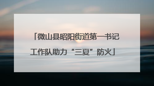 微山县昭阳街道第一书记工作队助力“三夏”防火