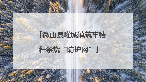 微山县驩城镇筑牢秸秆禁烧“防护网”