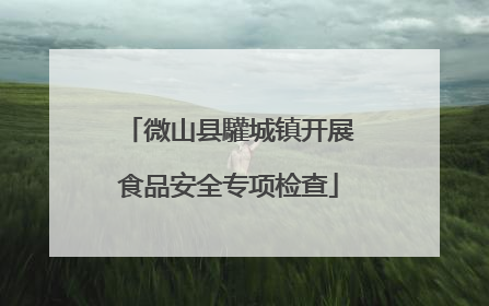 微山县驩城镇开展食品安全专项检查