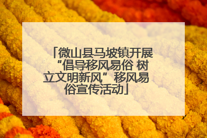 微山县马坡镇开展“倡导移风易俗 树立文明新风”移风易俗宣传活动