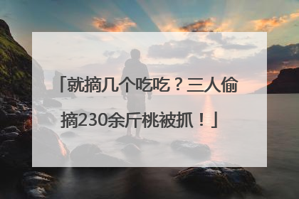 就摘几个吃吃？三人偷摘230余斤桃被抓！