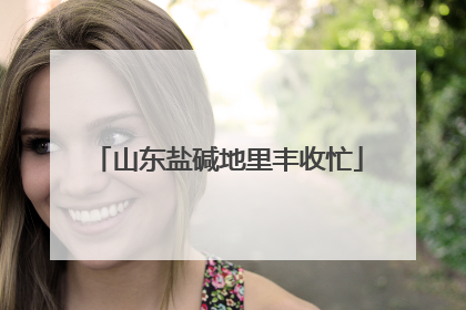 山东盐碱地里丰收忙
