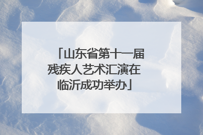 山东省第十一届残疾人艺术汇演在临沂成功举办
