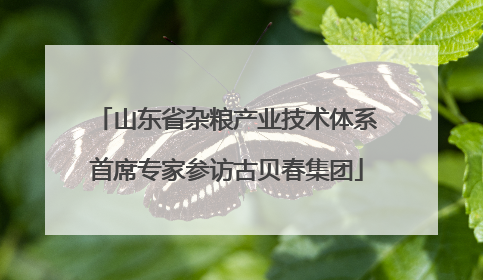 山东省杂粮产业技术体系首席专家参访古贝春集团