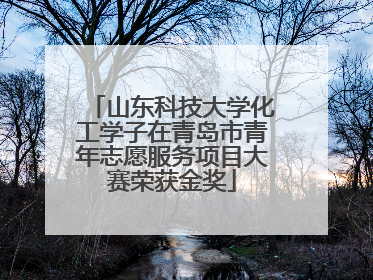 山东科技大学化工学子在青岛市青年志愿服务项目大赛荣获金奖