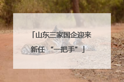 山东三家国企迎来新任 “一把手”