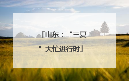 山东：“三夏”大忙进行时