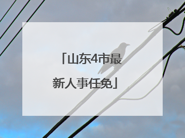 山东4市最新人事任免
