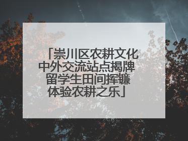 崇川区农耕文化中外交流站点揭牌 留学生田间挥镰体验农耕之乐