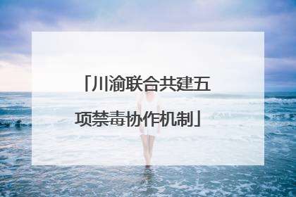 川渝联合共建五项禁毒协作机制