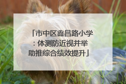 市中区鑫昌路小学：体测防近视并举 助推综合绩效提升