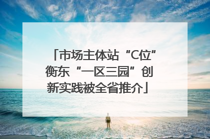 市场主体站“C位” 衡东“一区三园”创新实践被全省推介