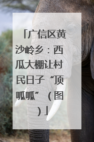 广信区黄沙岭乡：西瓜大棚让村民日子“顶呱呱”（图）