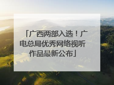 广西两部入选！广电总局优秀网络视听作品最新公布