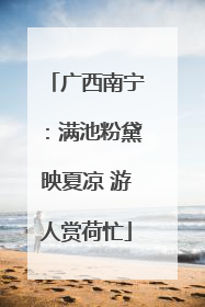 广西南宁：满池粉黛映夏凉 游人赏荷忙