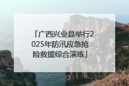 广西兴业县举行2025年防汛应急抢险救援综合演练