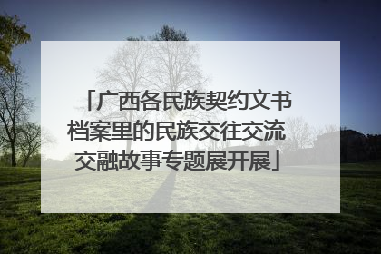 广西各民族契约文书档案里的民族交往交流交融故事专题展开展