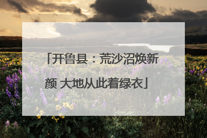 开鲁县：荒沙沼焕新颜 大地从此着绿衣