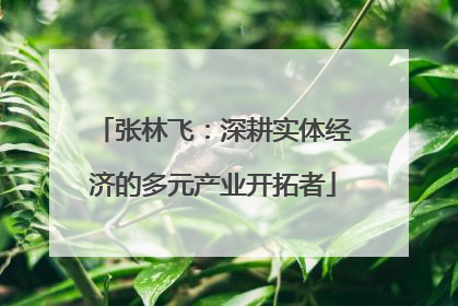 张林飞：深耕实体经济的多元产业开拓者