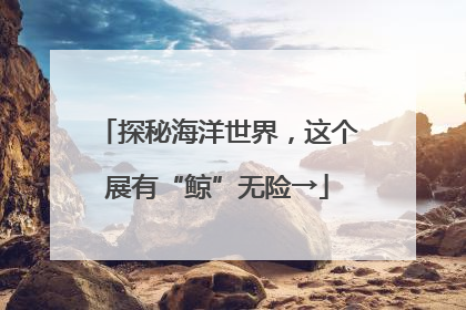 探秘海洋世界，这个展有“鲸”无险→