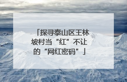 探寻泰山区王林坡村当“红”不让的“网红密码”